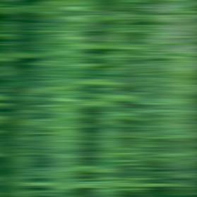wald